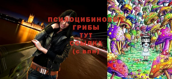 герыч Михайловск