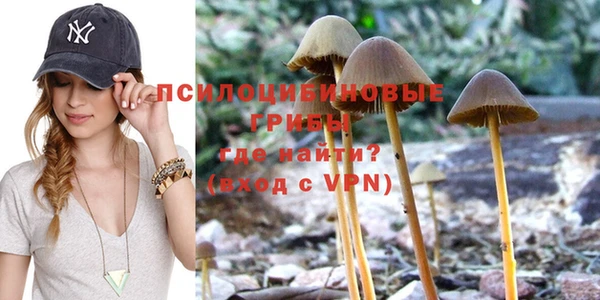 спайс Михайлов