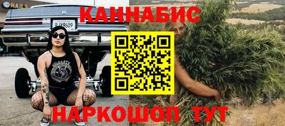 шишки Балашиха