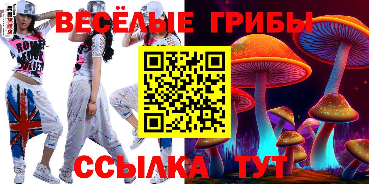 Долгопрудный  где продают наркотики  Вход с VPN  Псилоцибиновые грибы Psilocybe 