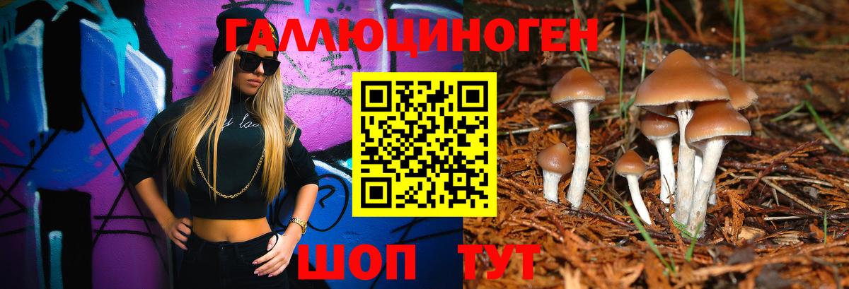 Галлюциногенные грибы MAGIC MUSHROOMS Долгопрудный