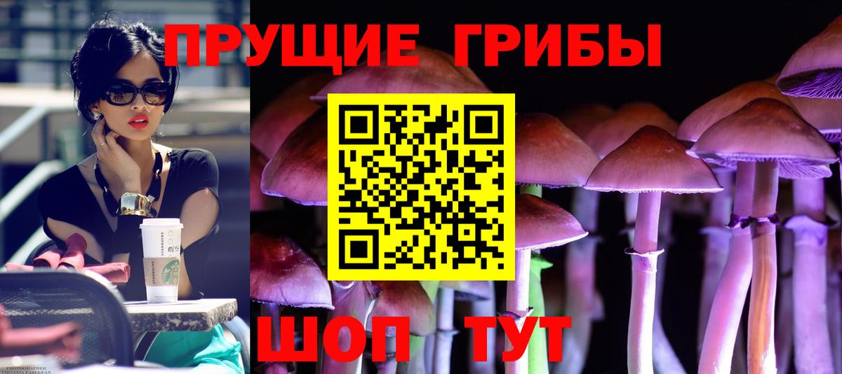 Псилоцибиновые грибы прущие грибы  где можно купить наркотик  Долгопрудный 