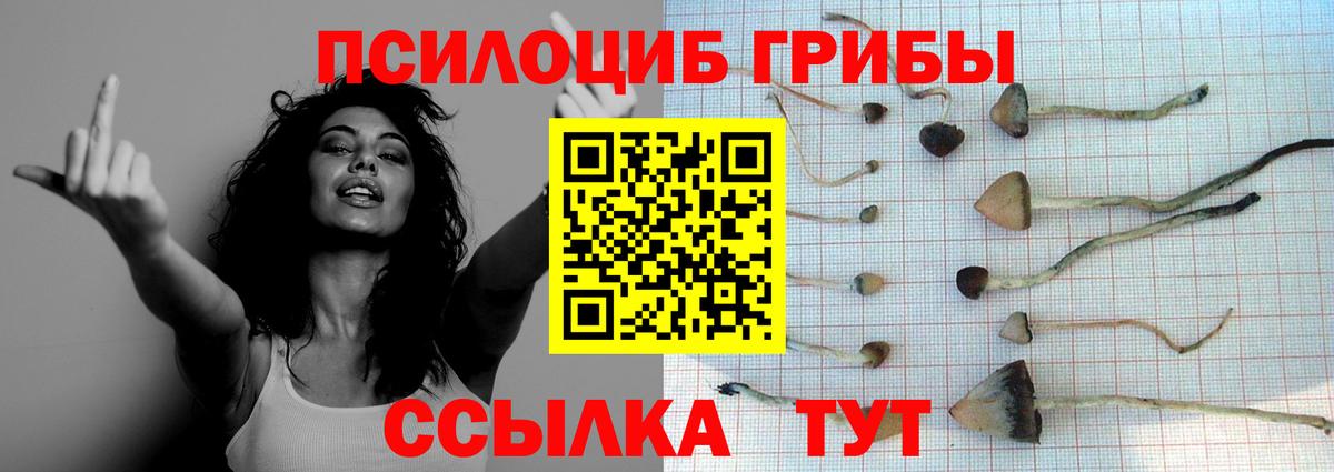 Псилоцибиновые грибы ЛСД Долгопрудный